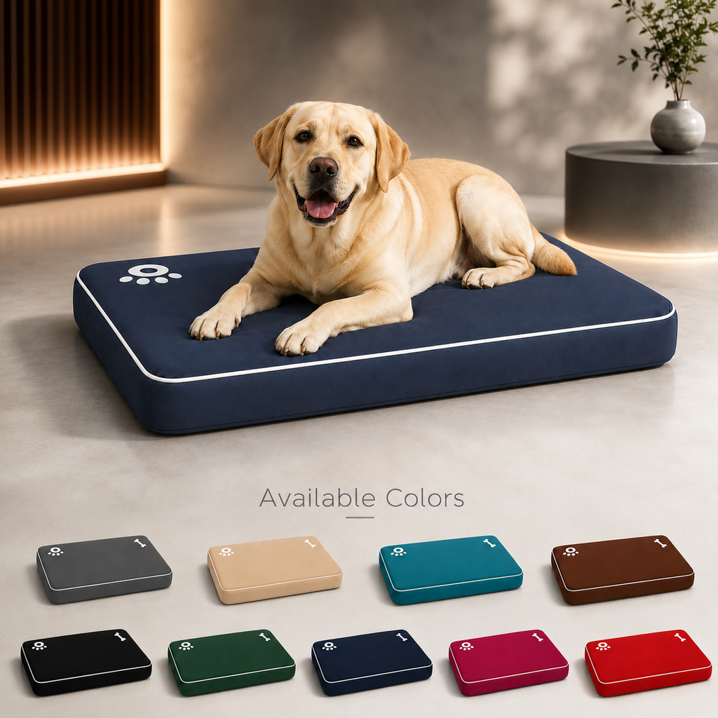 Night Zone Super Soft Bone & Paw Pet Bed Mat