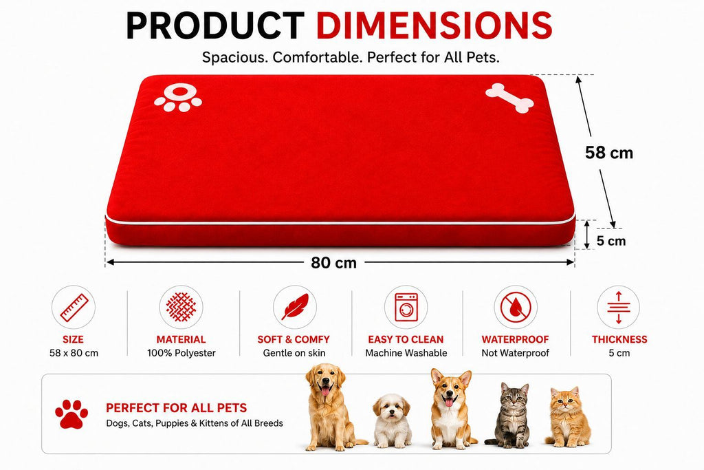 Night Zone Super Soft Bone & Paw Pet Bed Mat