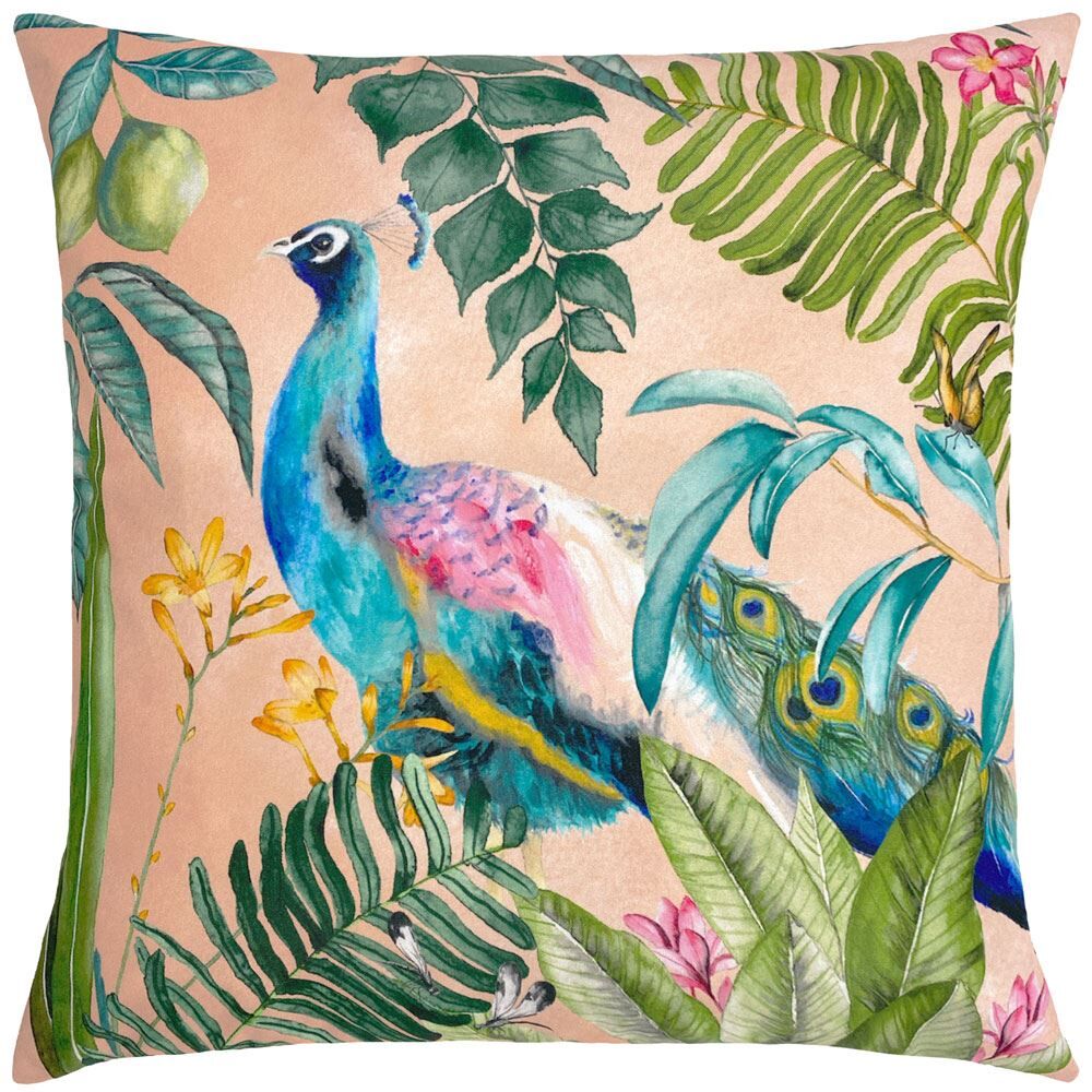 Evans Lichfield Peacock Print Outdoor Cushion Cover, Blush, 43 x 43 Cm