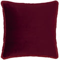 Paoletti Freya Elegance Fringed Cushion Cover