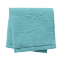 Linens Limited 100% Turkish Cotton Face Cloth, Turquoise