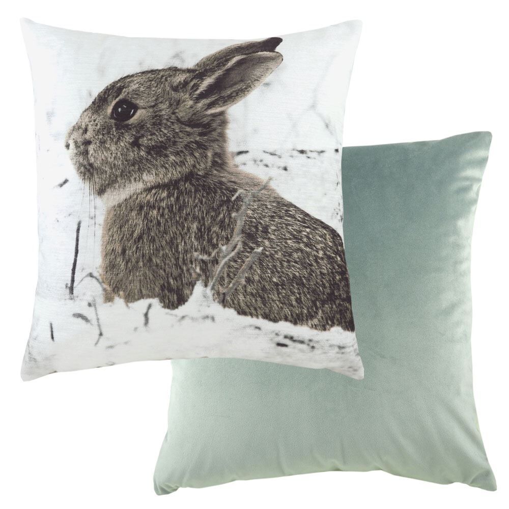 Evans Lichfield Hare Photo Print Cushion Cover, Multi, 43 x 43 Cm