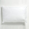 Linens Limited Value Range Polyester Pillows And Pillow Protectors, 2 Pack