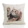 Alan Symonds Kitten Woven Tapestry Cushion Cover, Multi, 45 x 45 Cm