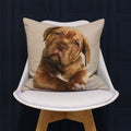 Riva Paoletti Labrador Digital Printed Cushion Cover, Brown, 45 x 45 Cm