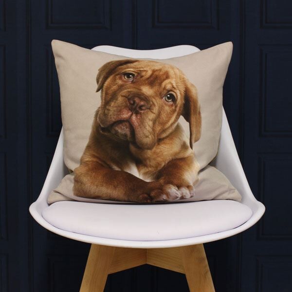 Riva Paoletti Labrador Digital Printed Cushion Cover, Brown, 45 x 45 Cm