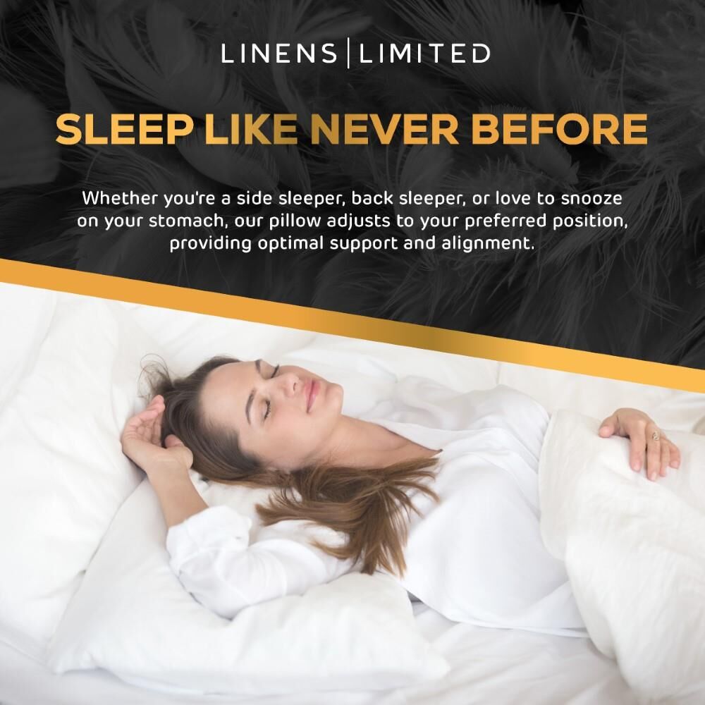 Linens Limited Luxurious Feels Like Down Microfibre Pillows
