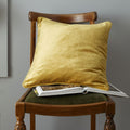 Catherine Lansfield Living Antique Velvet Piped Edge Filled Cushion