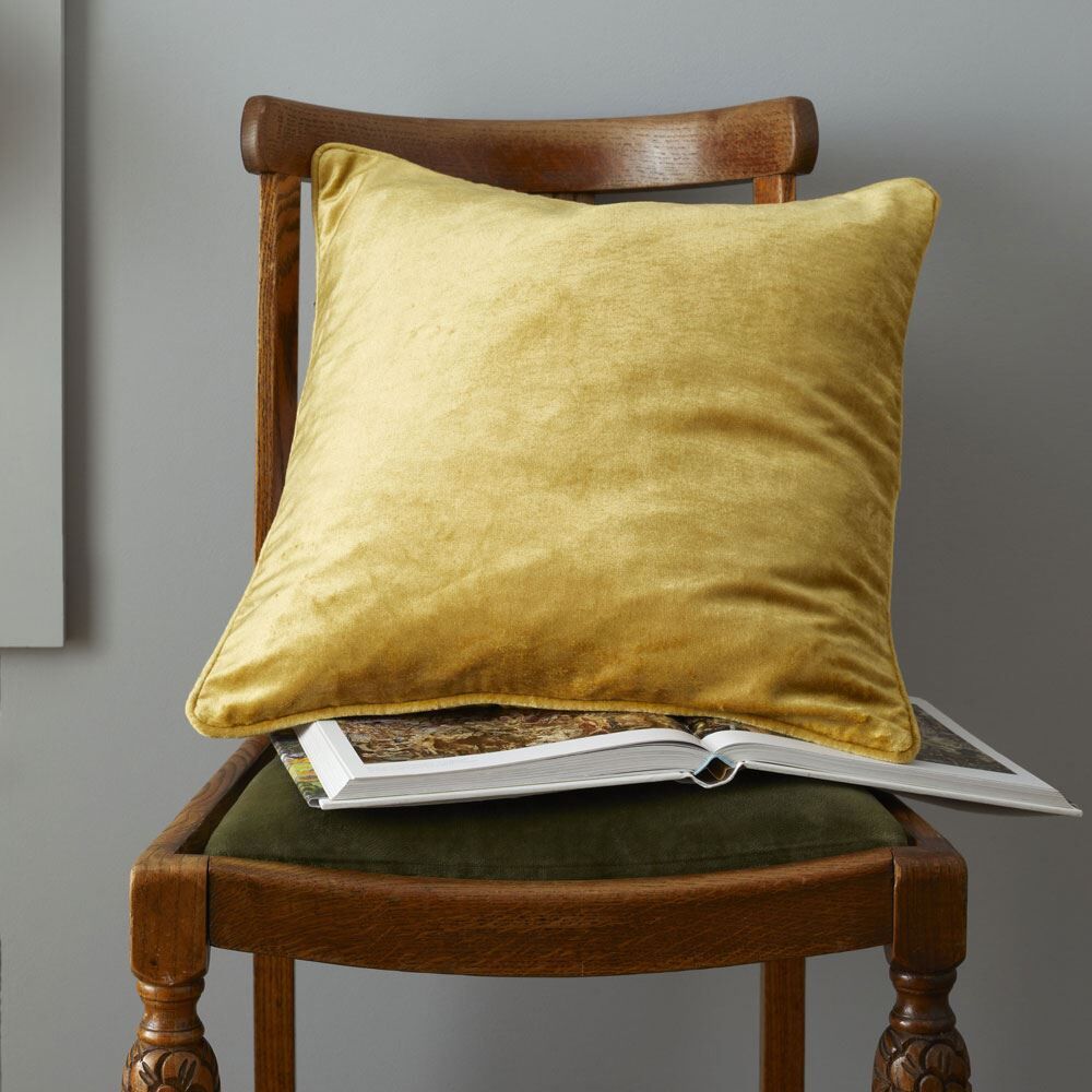 Catherine Lansfield Living Antique Velvet Piped Edge Filled Cushion