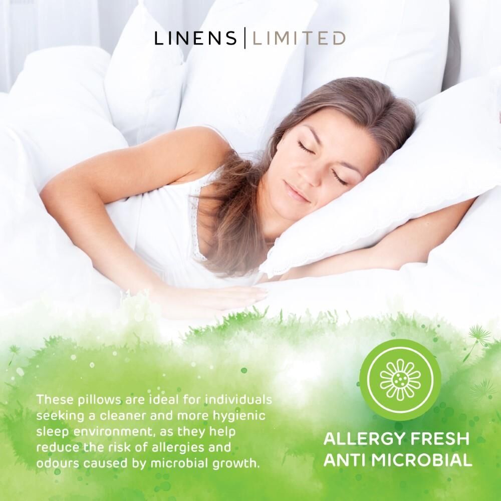 Linens Limited Allergy Fresh Anti Allergy Hollowfibre Pillows